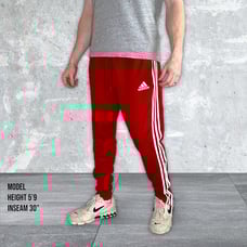 Adidas Tiro 19 Training Pants