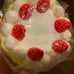 Sammy the Patissier Christmas Cake Squishy