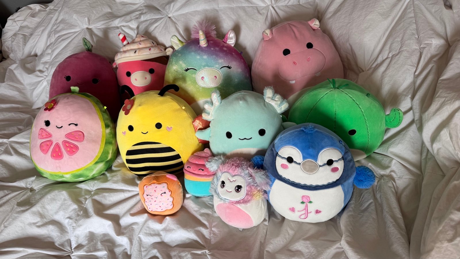 Squishmallow Bundle of 12!