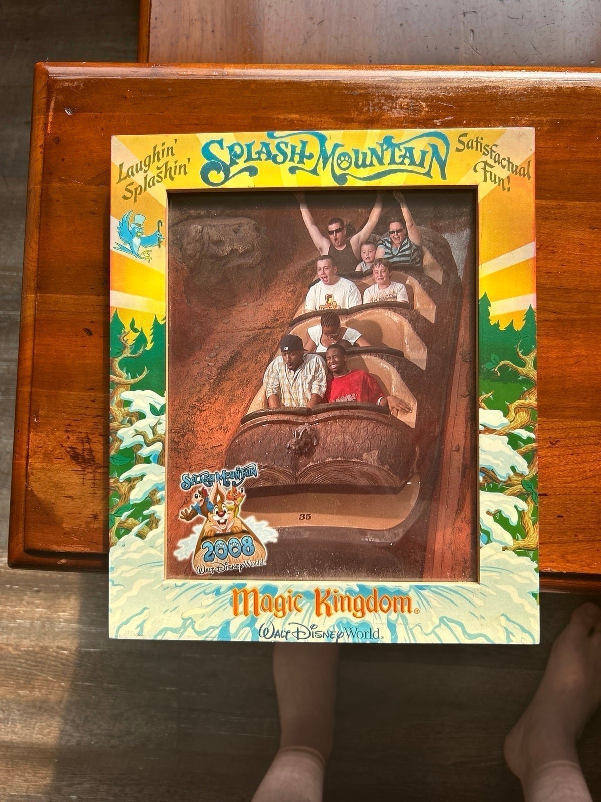 splash mountain frame
