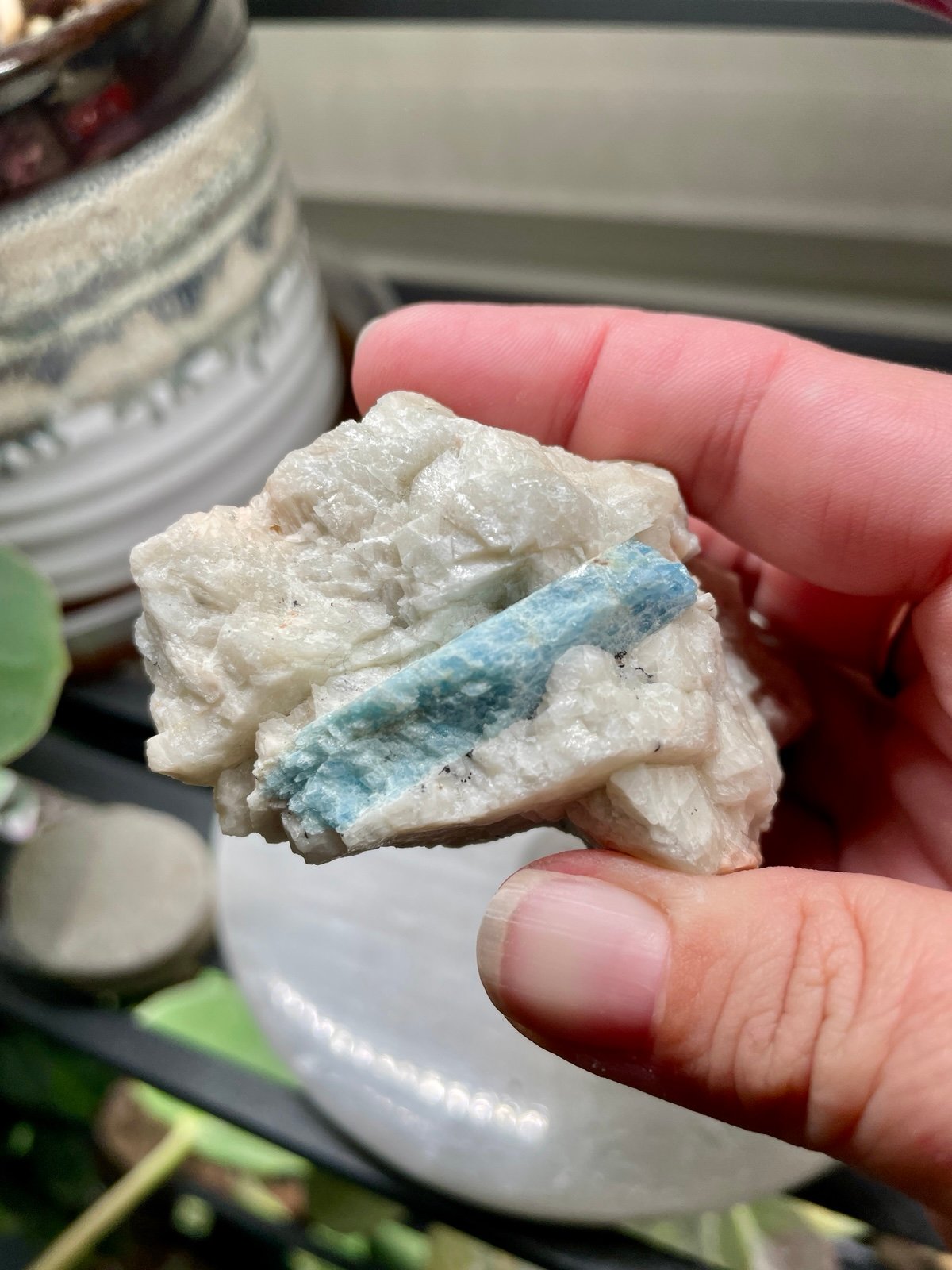 Gorgeous Aquamarine & Black Tourmaline Specimen