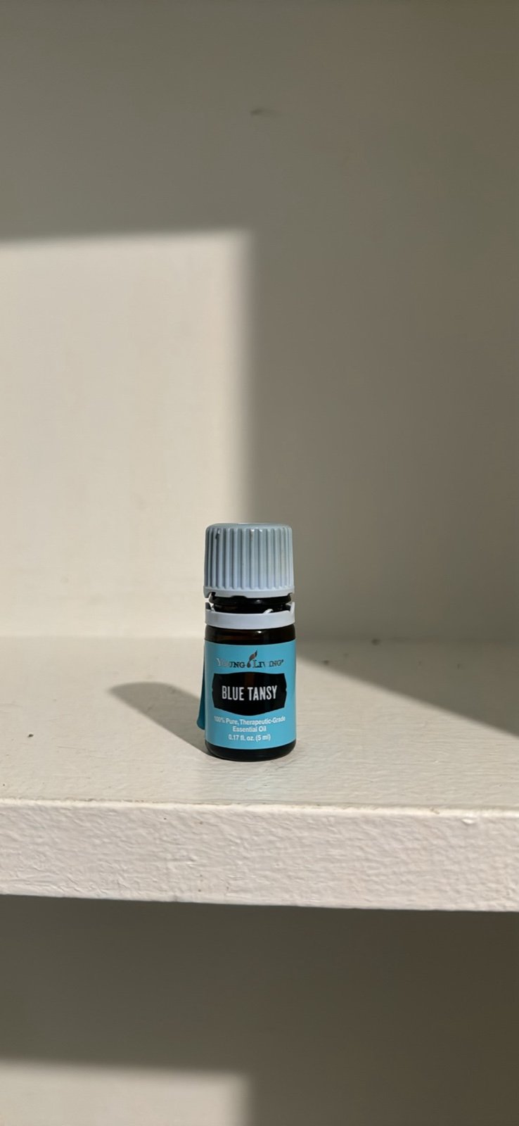 young living essential oil blue tansy
