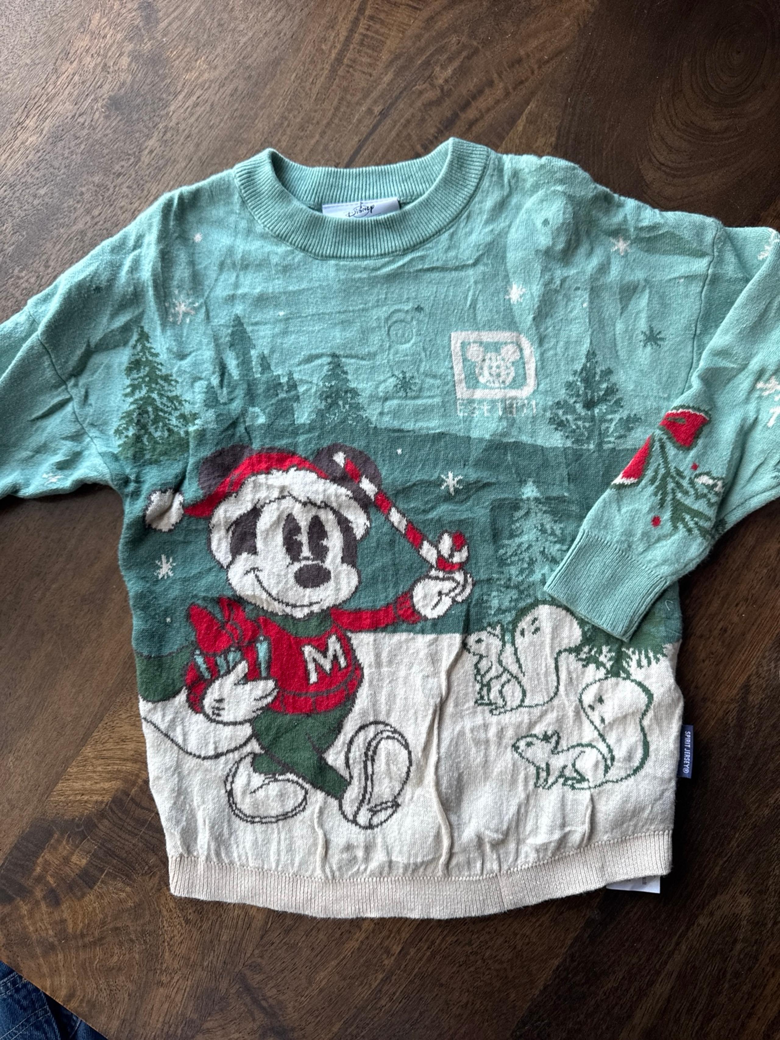 Disney spirit jersey