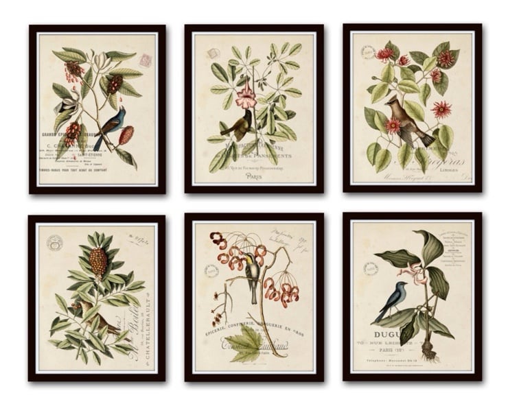 New VTG 11 x 14 Botanicals with Birds Collage Print Set - Fine Art Giclee Prints