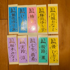95th Takarazuka Revue Company 10th Anniversary Bag