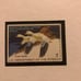 Rare stamp