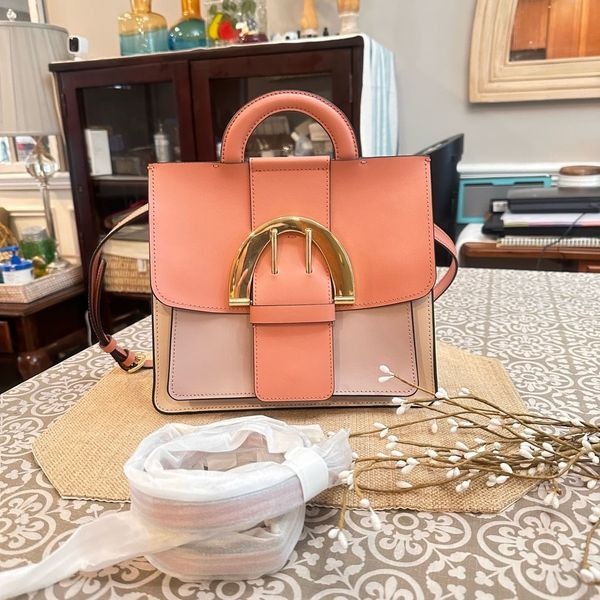 ZAC POSEN Biba Blush Colorblock Leather Backpack Shoulder Handbag NEW