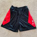 Nike NBA Toronto Raptors Shorts