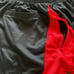 Nike NBA Toronto Raptors Shorts