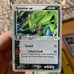 Hitmonchan, skarmory, Tyranitar, Alteria