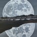 Original moon oil painting painted by me