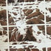 Bev Doolittle Hide and Seek. Signed LE Lithograph. NOT Used. Composite Version.