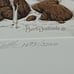 Bev Doolittle Hide and Seek. Signed LE Lithograph. NOT Used. Composite Version.