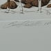 Bev Doolittle Hide and Seek. Signed LE Lithograph. NOT Used. Composite Version.