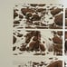 Bev Doolittle Hide and Seek. Signed LE Lithograph. NOT Used. Composite Version.