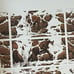 Bev Doolittle Hide and Seek. Signed LE Lithograph. NOT Used. Composite Version.