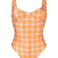 Faithful the Brand Mona check swimsuit one piece