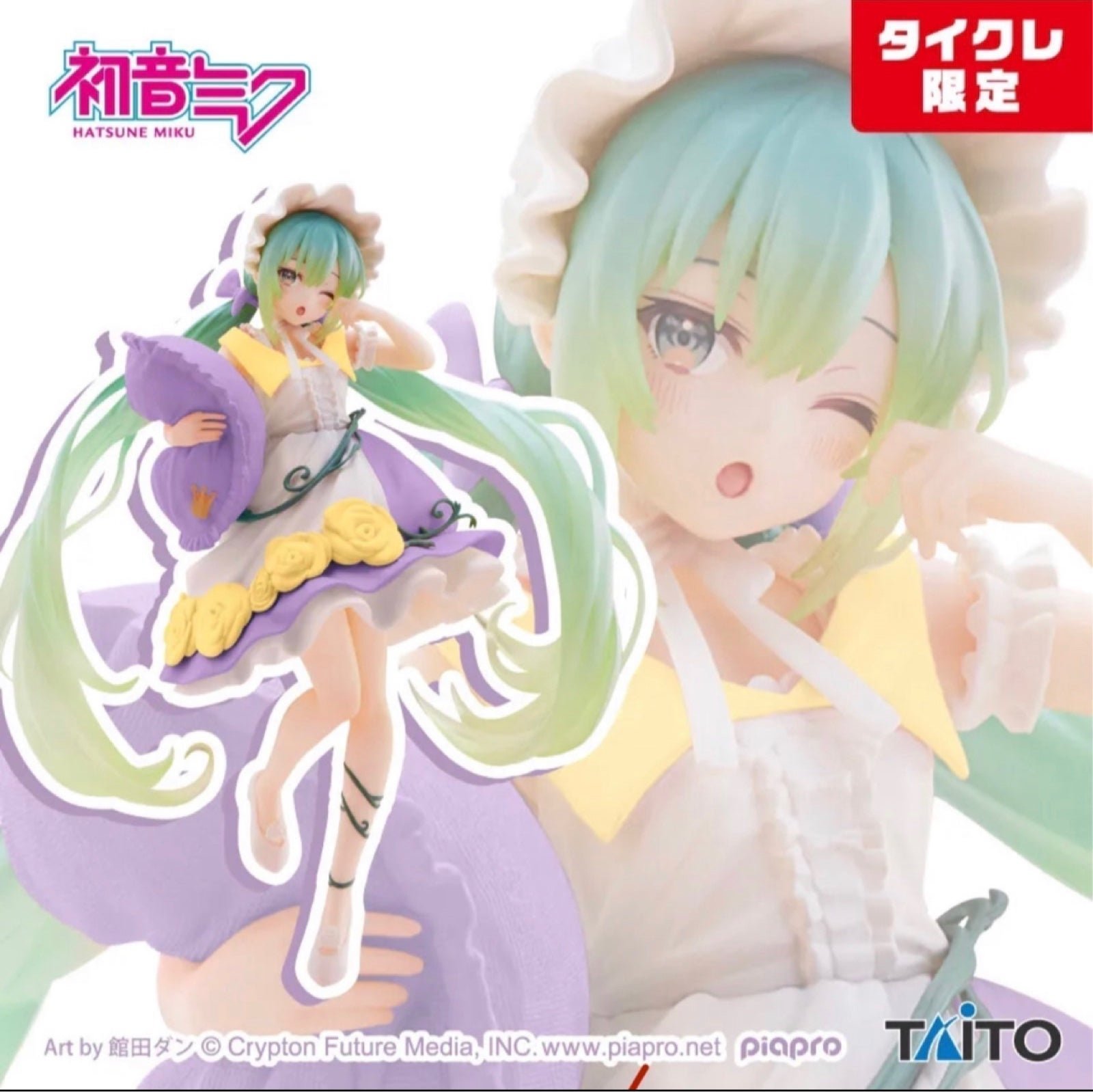 NIB Hatsune Miku Sleeping Beauty Limited Ver Wonderland Figure TAITO Japan