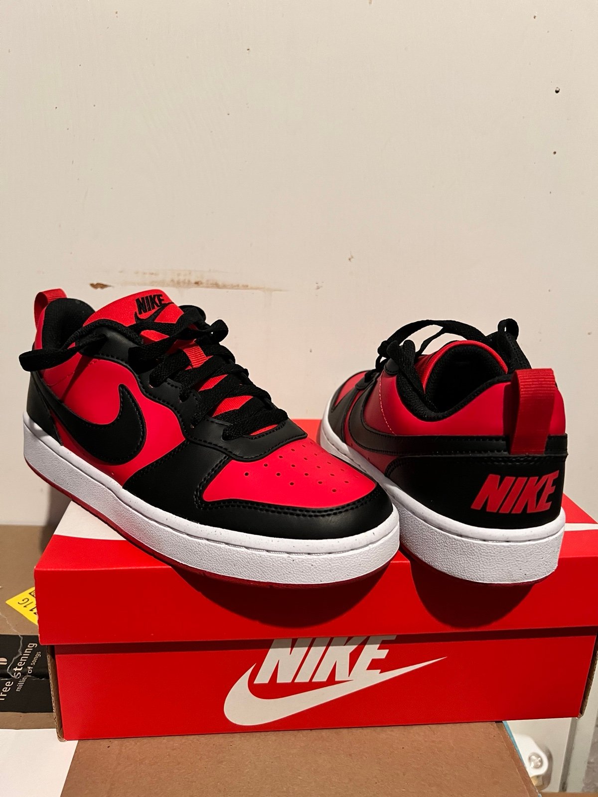 Nike Dunks youth size 6