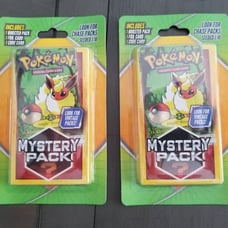 Pokémon TCG Mystery Packs Lot (2 Pack's + Foil Cards) Chase Pack Seeded (1:10)