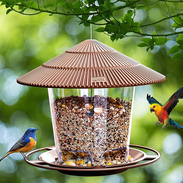 Waterproof Gazebo Bird Feeder: A Charming Addition to Your Outdoor Space New