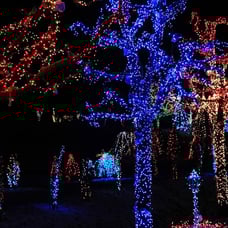 Christmas Lights, 200 LED 66FT Outdoor Christmas Lights Plug in with 8 Modes