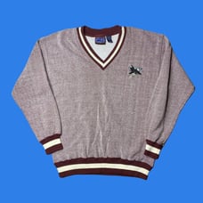 Vintage San Jose Sharks sweater