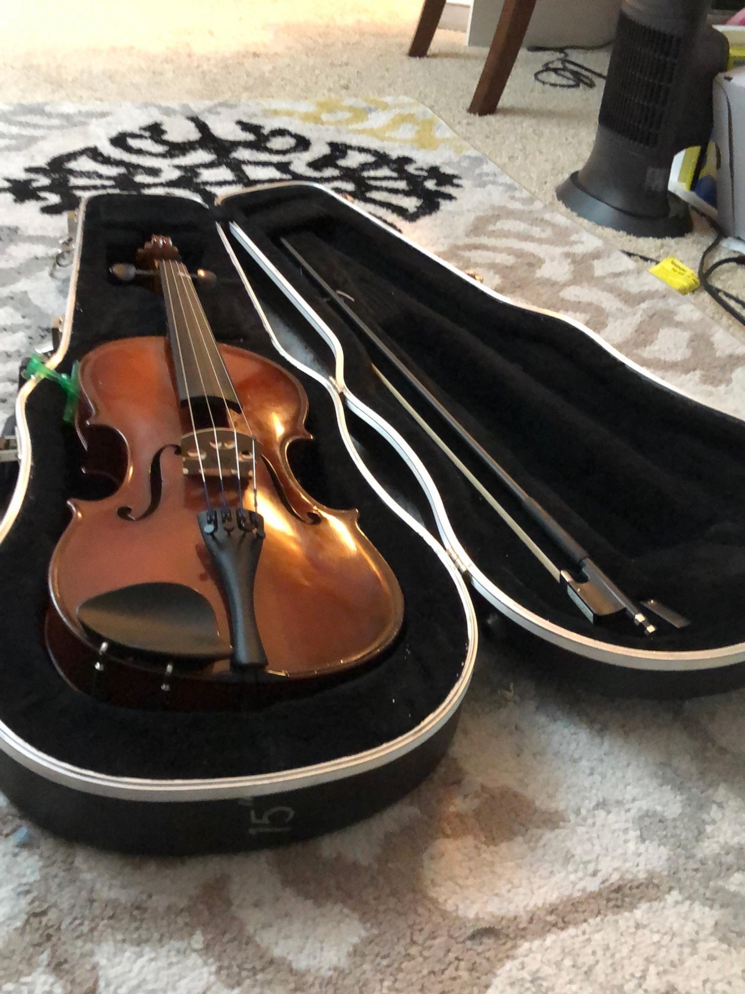 Viola