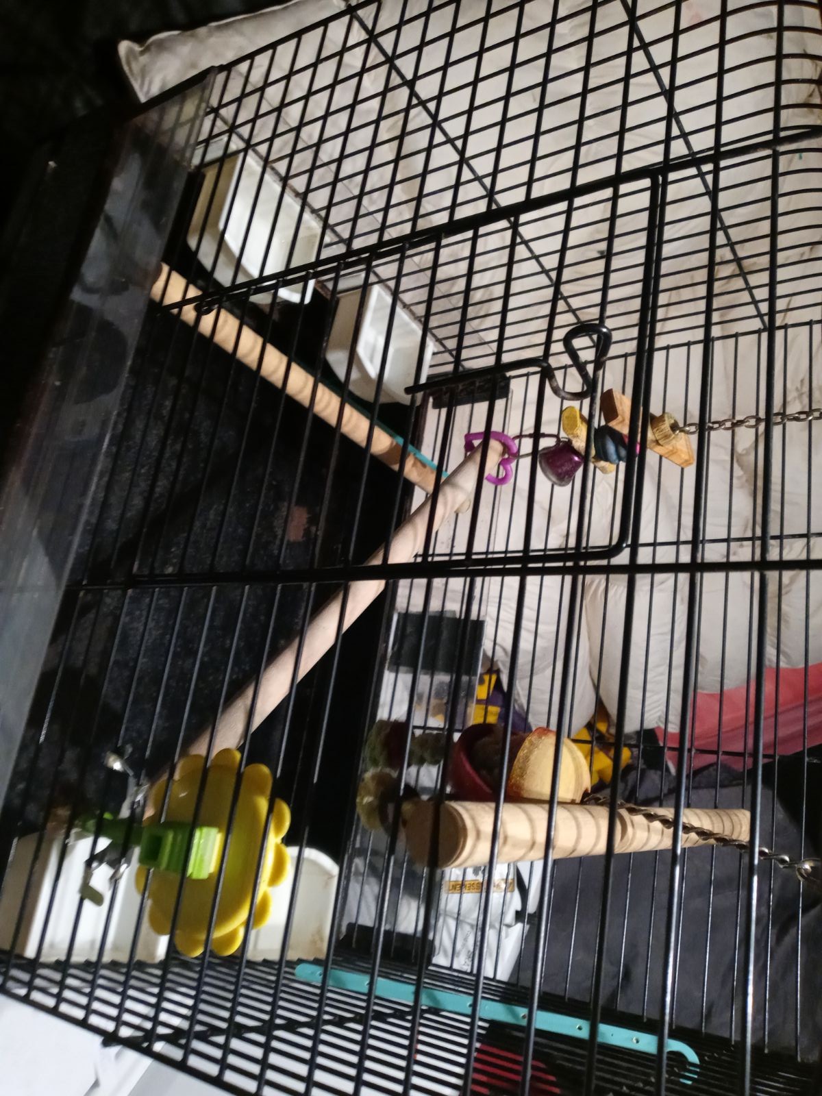 bird cage