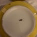 limoges set of 2 trinket pill boxes