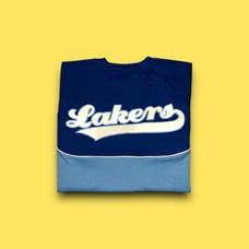 Vintage LA Lakers NBA hardwood classics warmup jersey
