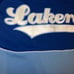 Vintage LA Lakers NBA hardwood classics warmup jersey