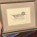Vintage Framed Prints Waterfowl by Jon D Bailey-Pair Canada Goose & Pintail
