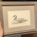 Vintage Framed Prints Waterfowl by Jon D Bailey-Pair Canada Goose & Pintail