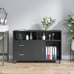 NEW 2 Drawer Wood File Cabinet with Lock and Open Storage Shelves