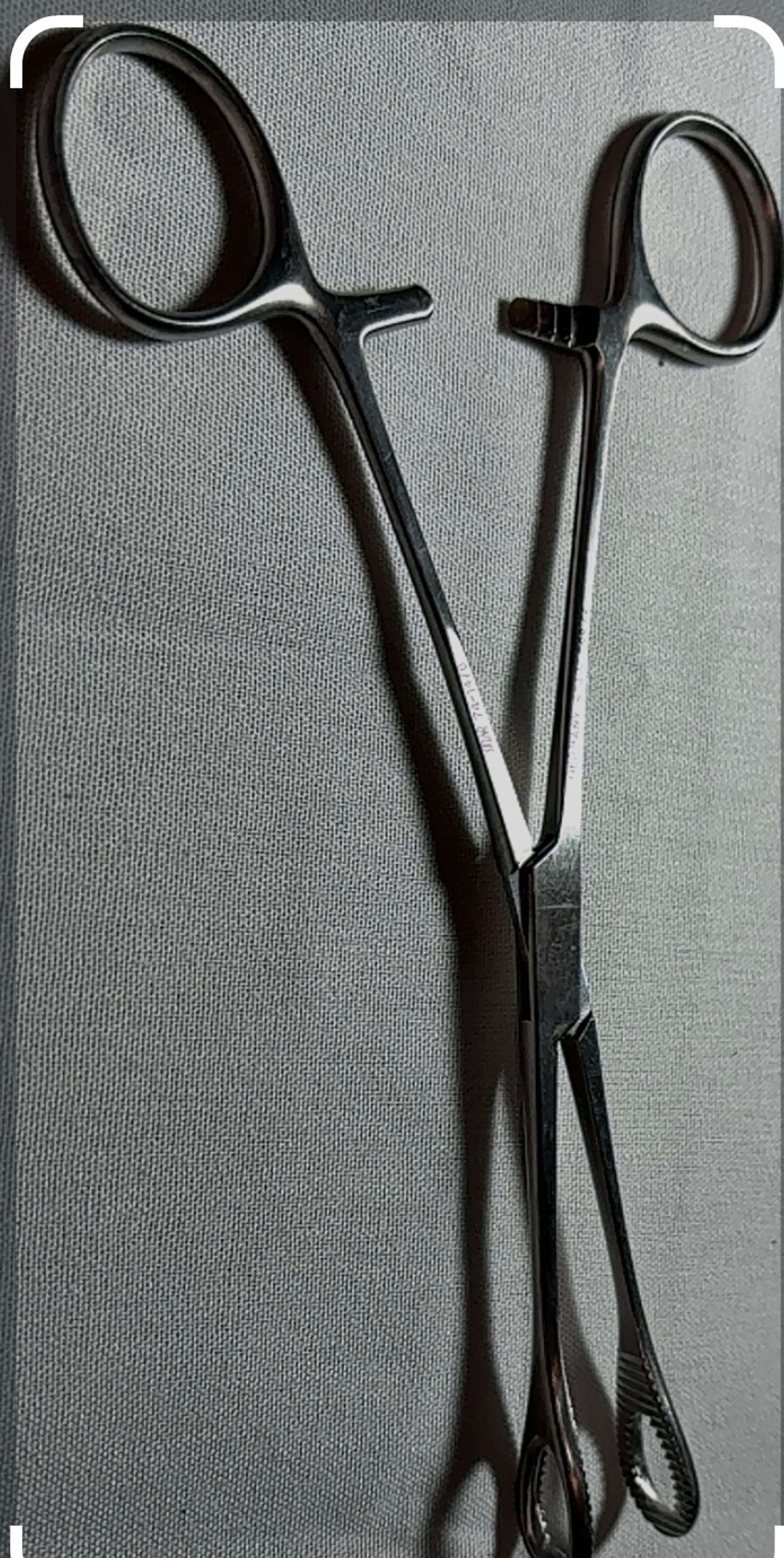 High Quality Forester Sponge Forceps Stainless Steel Curved