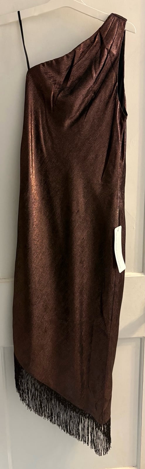 Adrianna Papell Foiled One Shoulder Asymmetrical Dress Fringe Hem Size 8 NWT