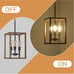 3 Lights Farmhouse Chandelier