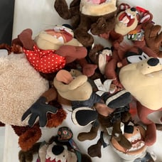 Taz Lot package #1
