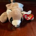 TY Beanie baby Rare Ringo 1995 with tag errors