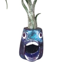 ****SOLD****Handmade airplant holder gal