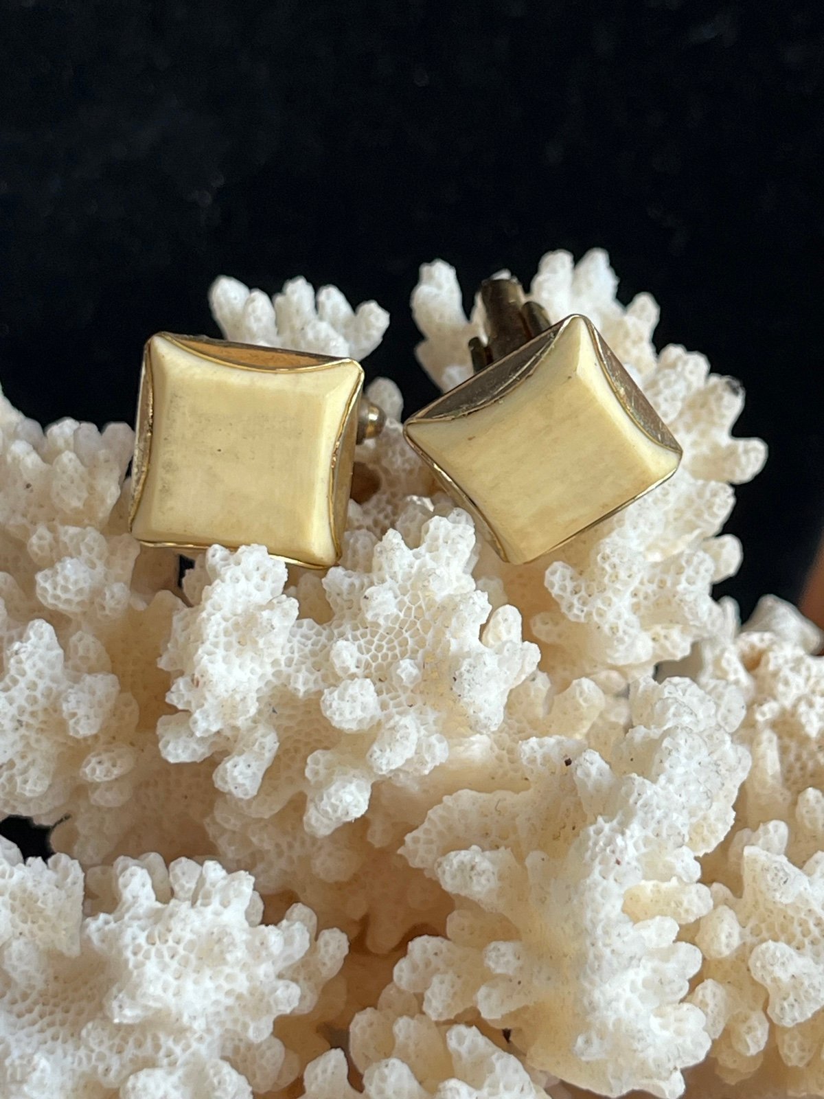 Ivory cuff links