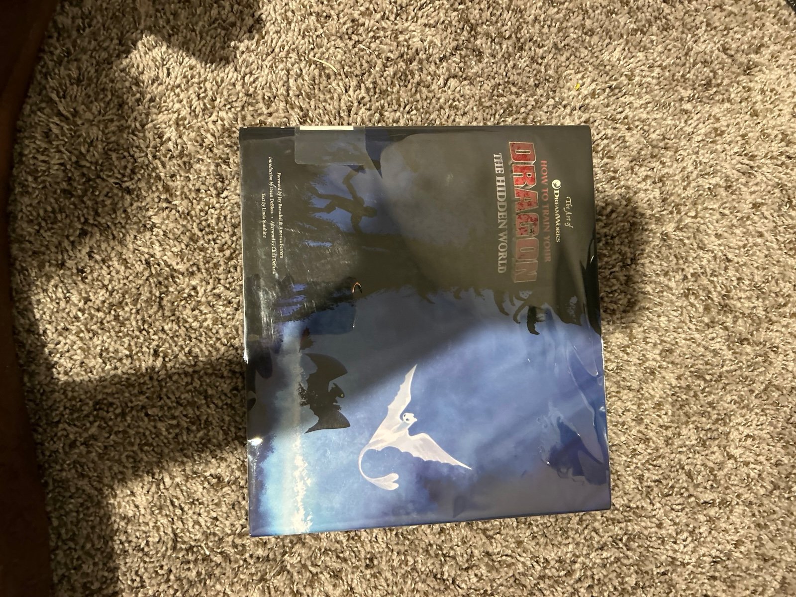 The Art Of How To Train Your Dragon: The Hidden World