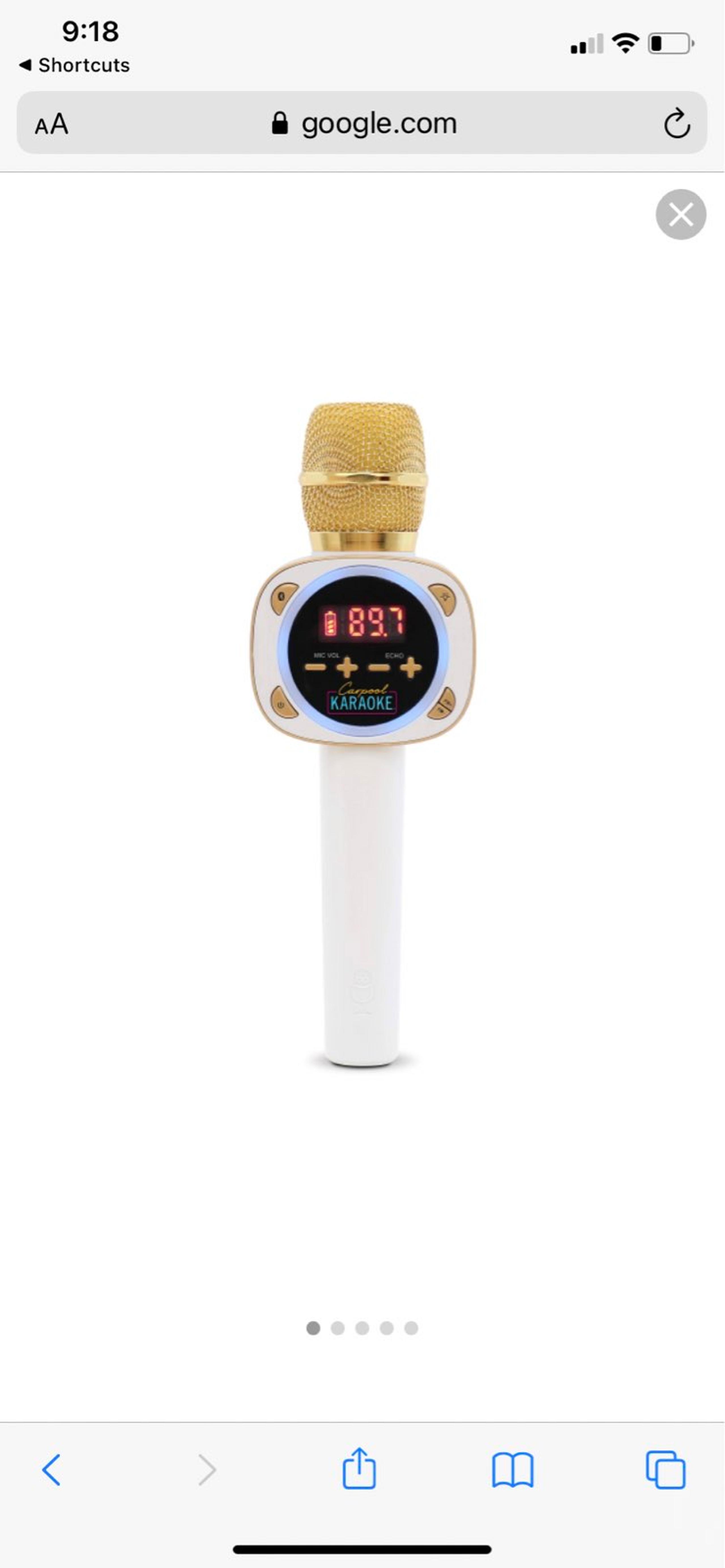 Carpool Karaoke Mic