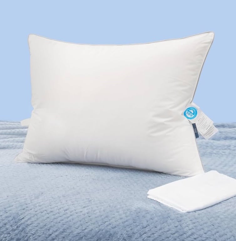 Natural Goose Down Pillows: Luxury Hotel Bed Pillow with 750 Fill Power, 20x30