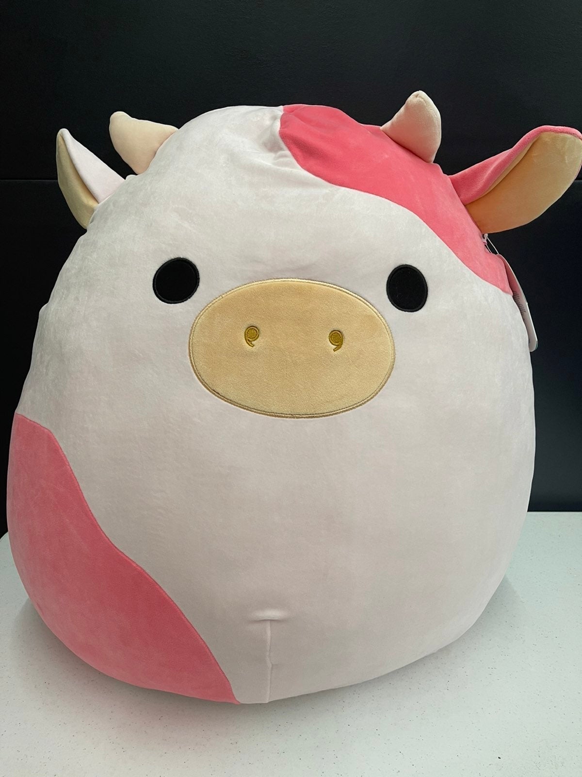Reshma 24 Squishmallow
