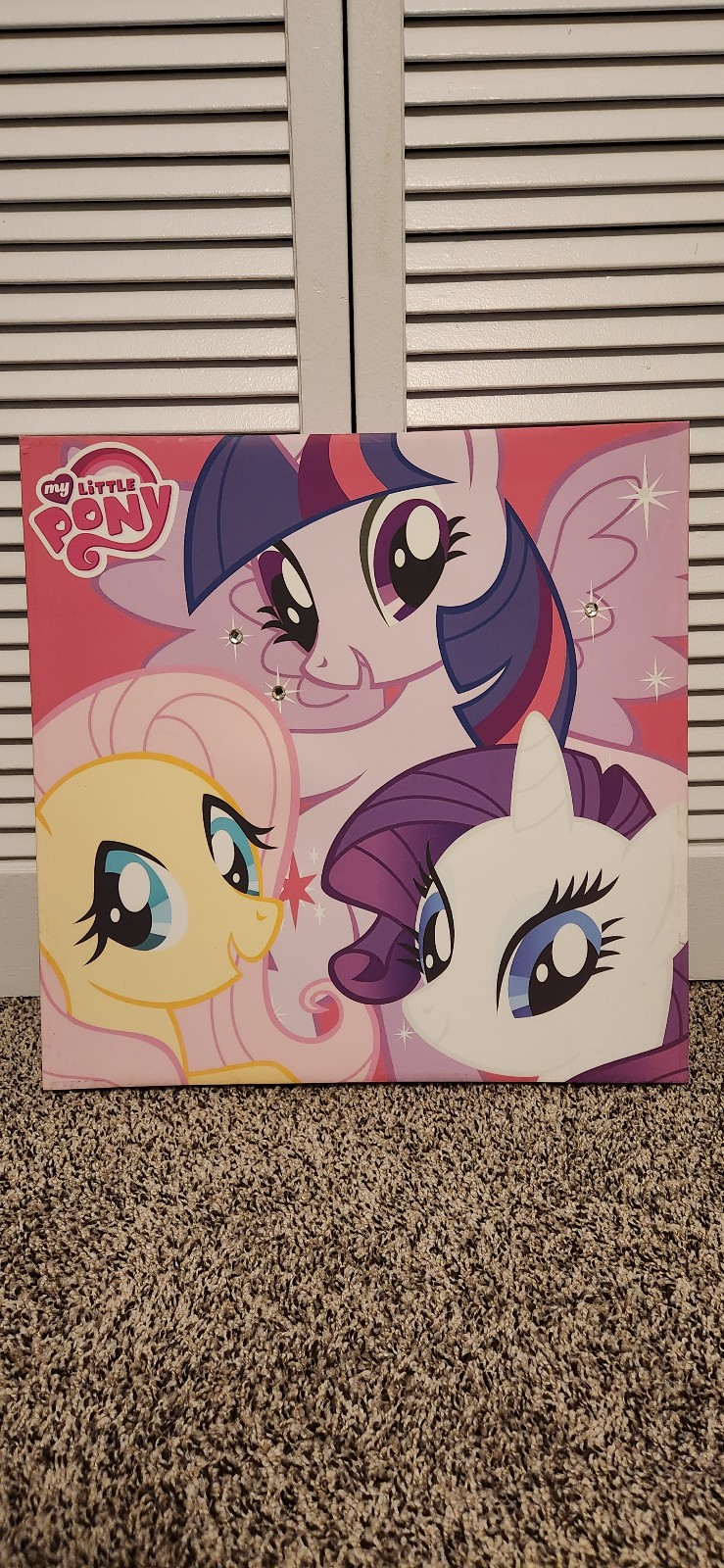 My Little Pony canvas picture
