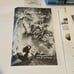 1991 Elvira II: The Jaws of Cerberus PC Game Accolade 5.25 disks