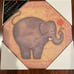 Artissimo Designs Canvas Safar Animal Prints Set
