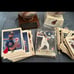 Cleveland Indians/ browns lot